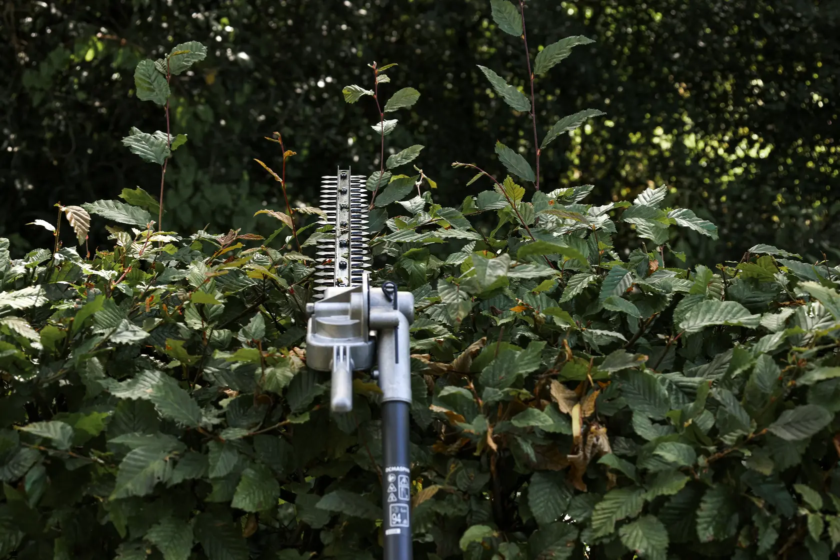 Heckenscheren-Aufsatz 55 cm für DCMAS5713 Multifunktionsgerät