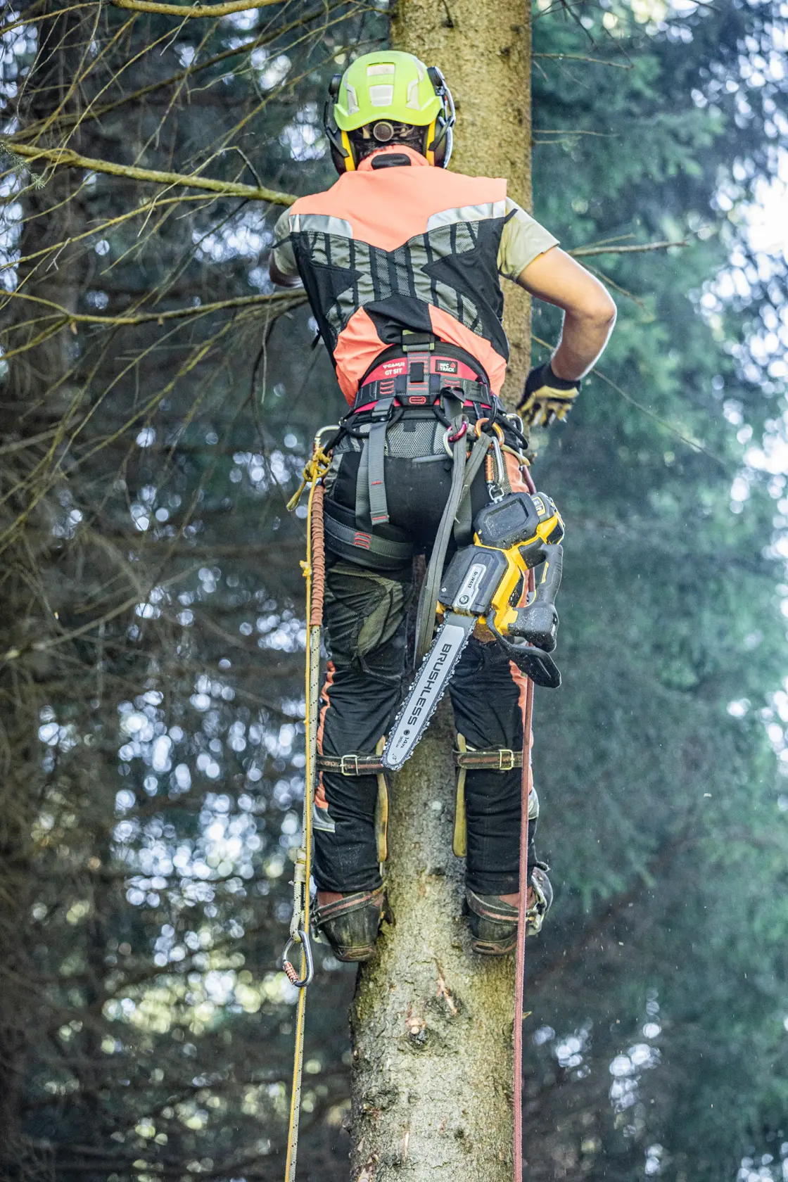 54 Volt Top-Handle-Akku-Kettensäge 35 cm Schwert (bürstenlos), Basisversion, WARNUNG - Diese Kettensäge darf nur von ausgebildeten Baumpflegern verwendet werden