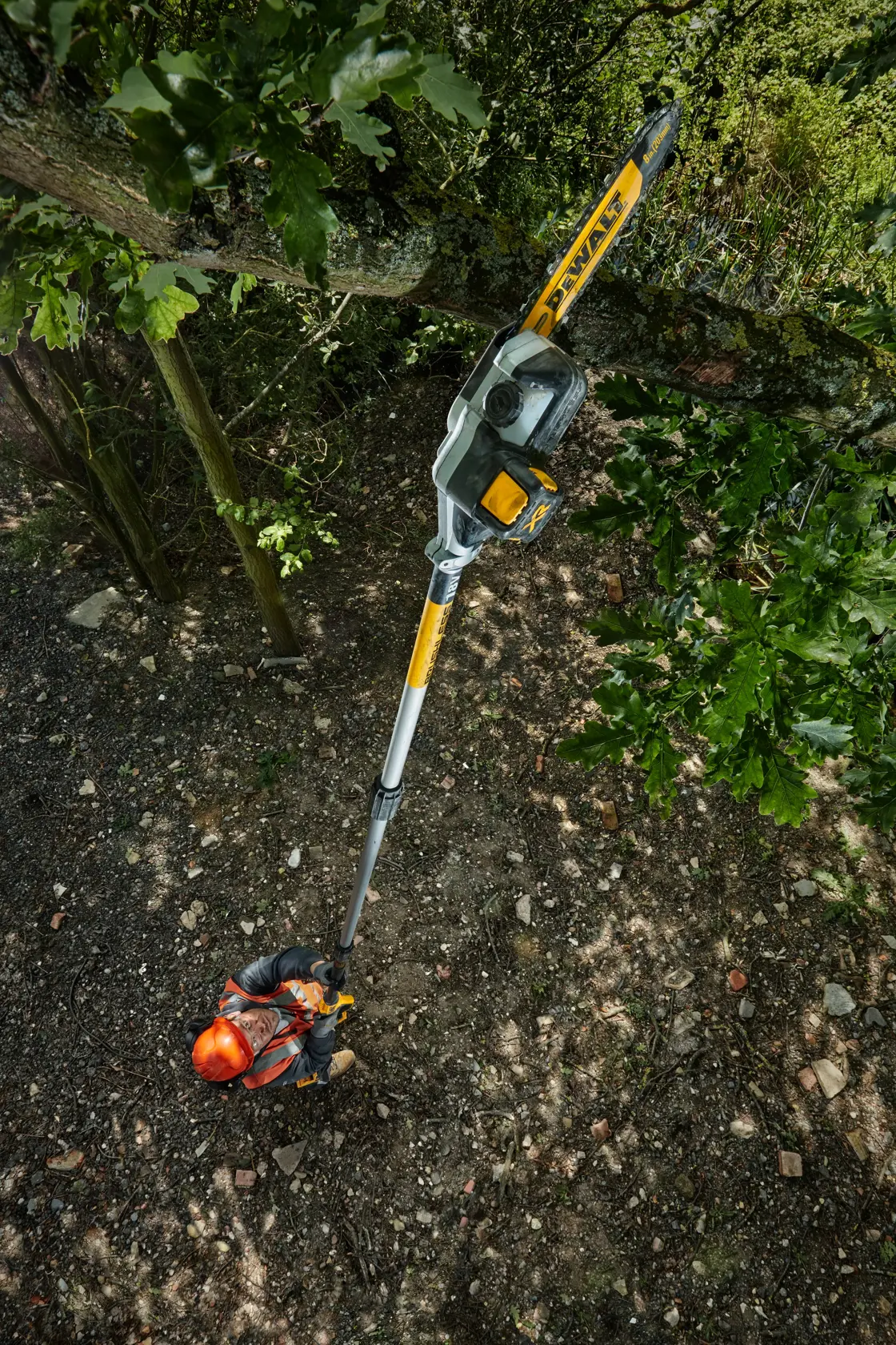 Person schneidet hohe Äste im Freien mit einer DEWALT DCMPS567N Stabsäge.